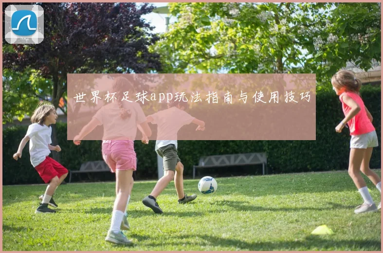 世界杯足球app玩法指南与使用技巧
