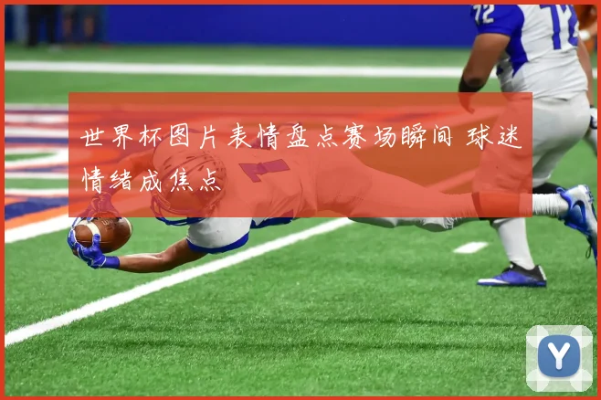 世界杯图片表情盘点赛场瞬间 球迷情绪成焦点
