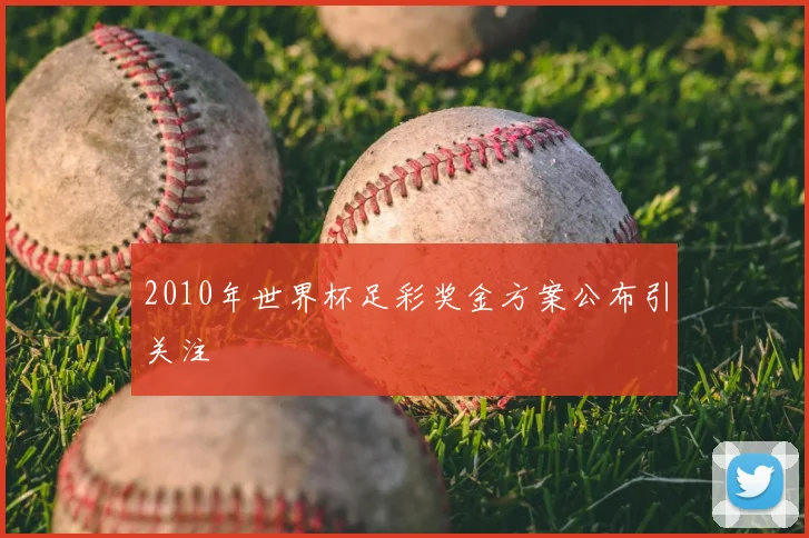 2010年世界杯足彩奖金方案公布引关注