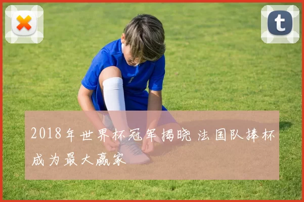 2018年世界杯冠军揭晓 法国队捧杯成为最大赢家